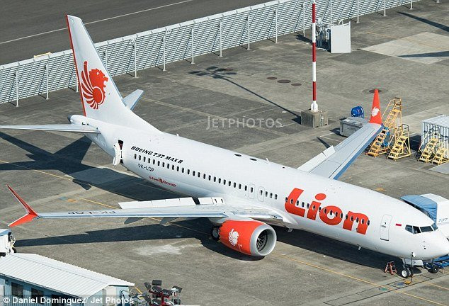 51BFEBD400000578-6331473-The_Lion_Air_aircraft_crashed_about_13_minutes_after_taking_off_-a-76_1540861290324