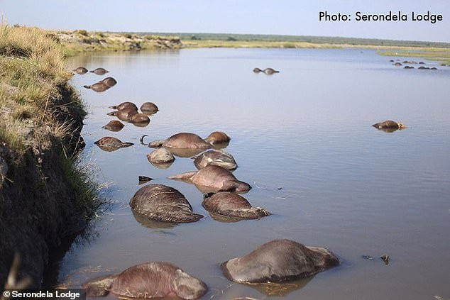 5922990-6366739-image-a-6_1541669364744