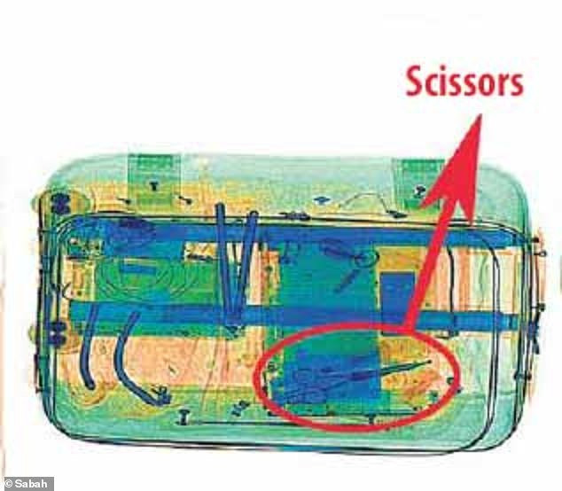 6126804-6383183-image-a-62_1542111227028