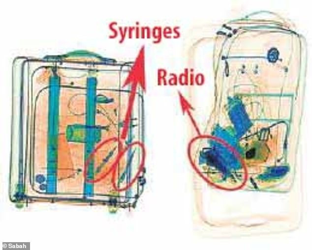 6126806-6383183-image-a-61_1542111221773