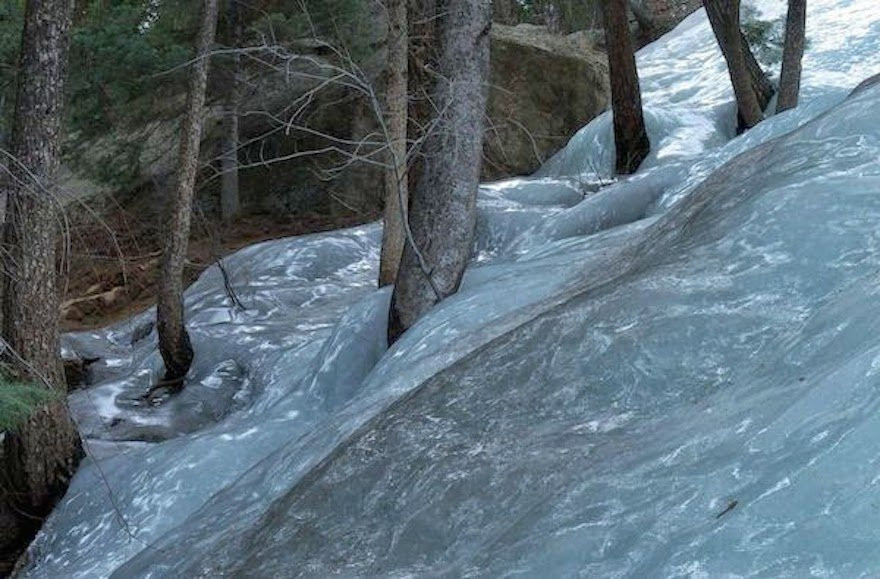 Flash-frozen-waters-in-the-forest.-The-30-Most-Amazing-Photos-Of-Frozen-Things-In-Honor-Of-The-Coldest-Morning-Of-The-21st-Century 3