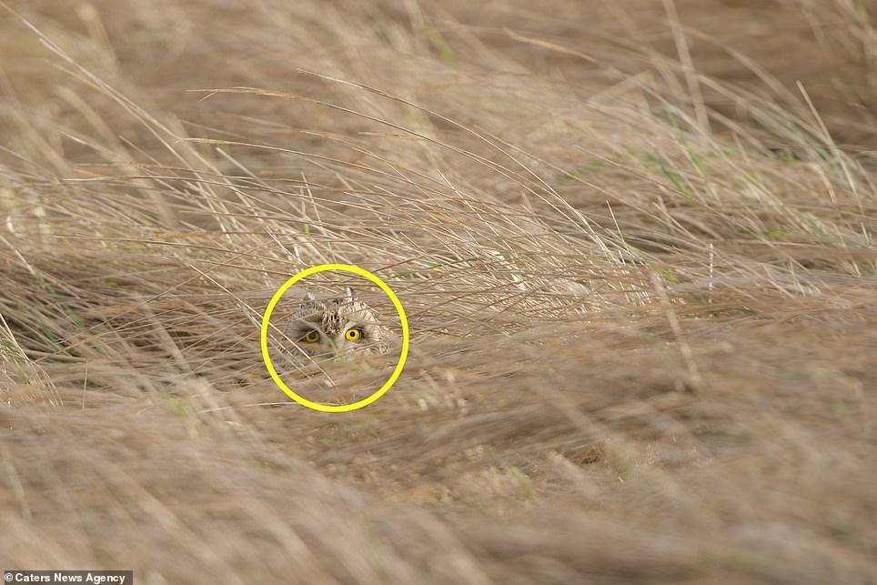 7810524-6528509-image-a-71_1545737345014 22