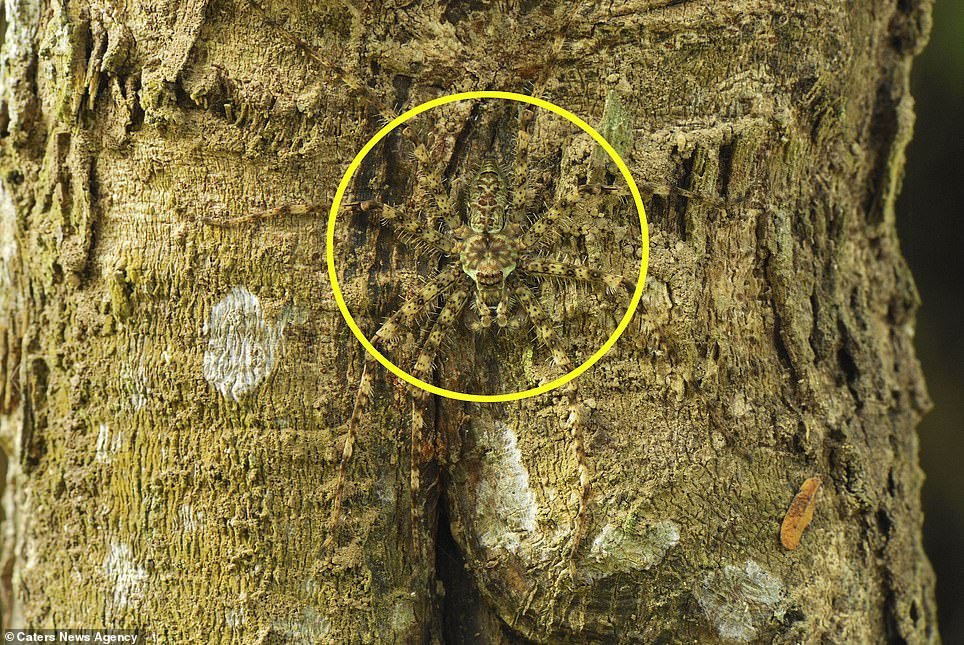 7810532-6528509-image-a-56_1545737049644