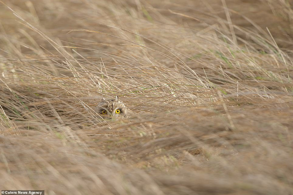 7810556-6528509-image-a-70_1545737345011 18