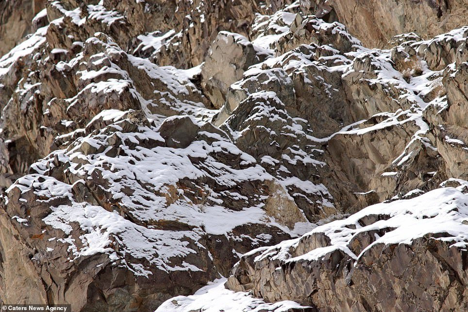 7810572-6528509-image-a-43_1545736888679 4