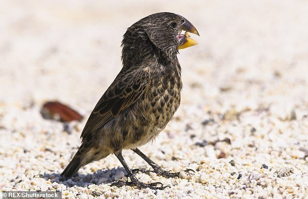 8293094-0-image-m-57_1546997401023