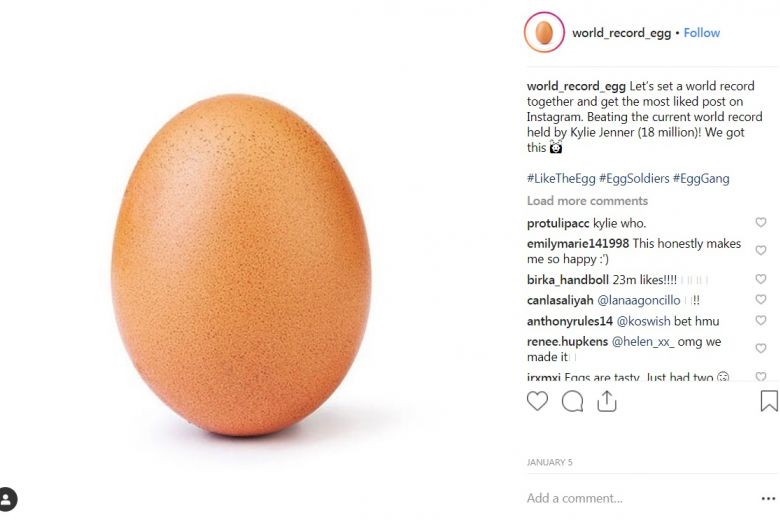 nm-egg-1401