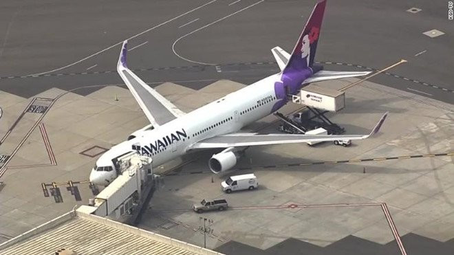 Hawaiian_Airlines (1)