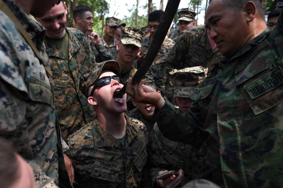 NINTCHDBPICT000469067303 3