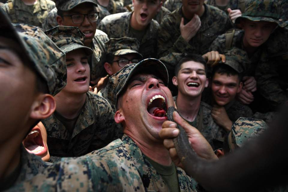 NINTCHDBPICT000469067368 4