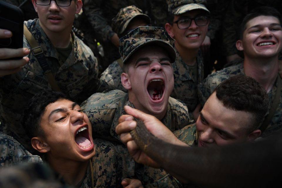 NINTCHDBPICT000469067575 5