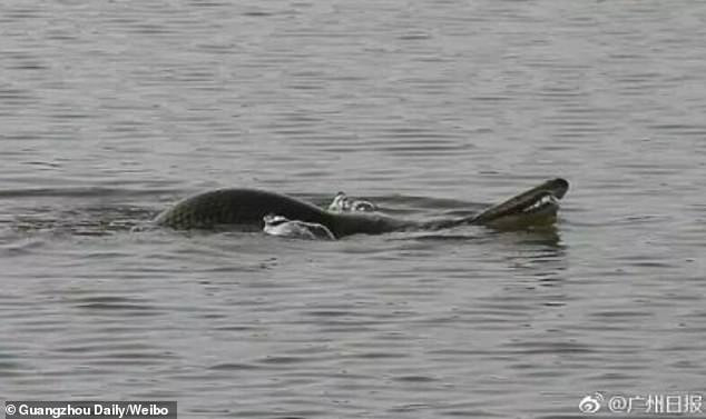 9949962-6716521-image-a-8_1550485077658