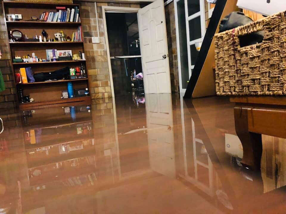 46493100_1685513264888677_5580807575877713920_n 12