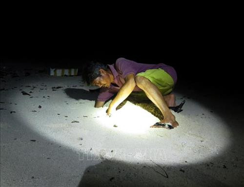 154619148132592-ls2-1-1546191481-width500height382