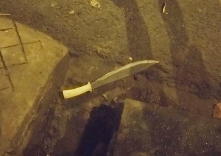 hon_chien_4_vne_copy_OGGS 3