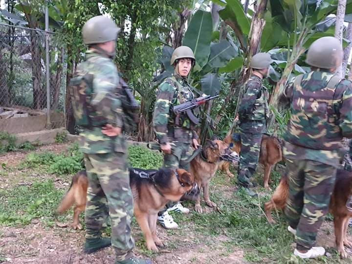 51982092_951235671932919_7853296436006354944_n 4