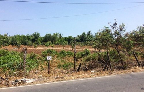 a-tb-dat-lo-lon-can-gio-1-3933-1553624209