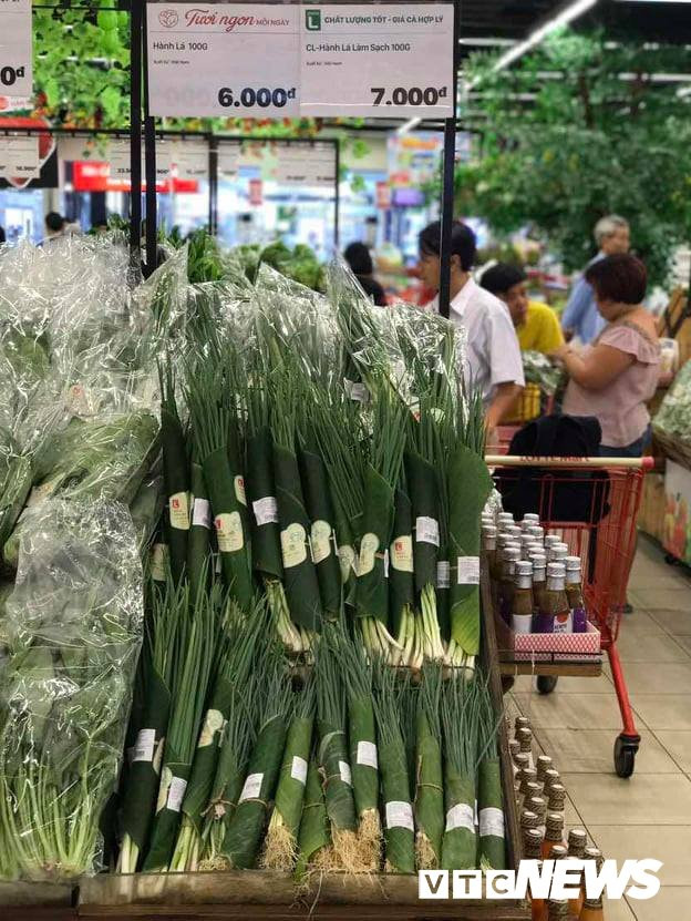 56226041_338791816742454_938735956616282112_n 7