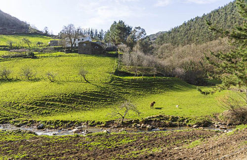 800x-1-1-1553925060-5630-1553925656