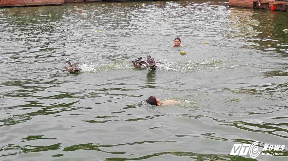 14273334_916868048456921_258658849_o