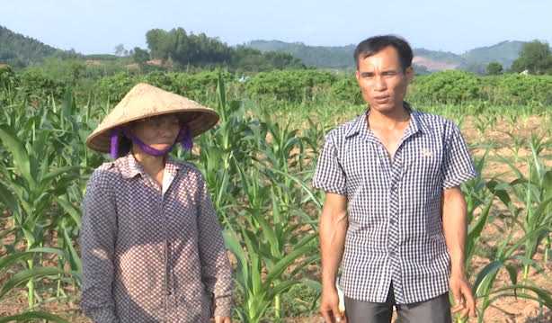 vo chong anh thanh