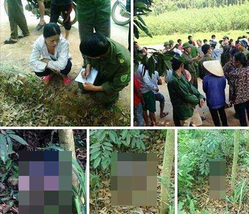 13406984_605104999659417_109705165960637162_n