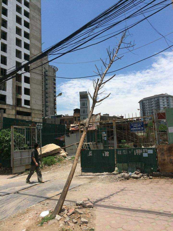 13413530_1927723507454385_5557005593413443836_n