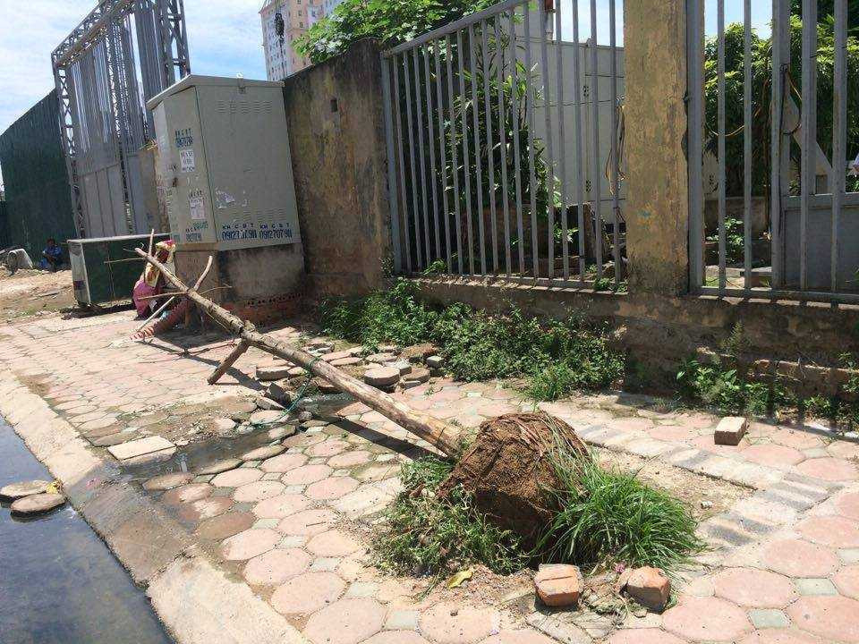 13432212_1927723460787723_1095112488150198547_n