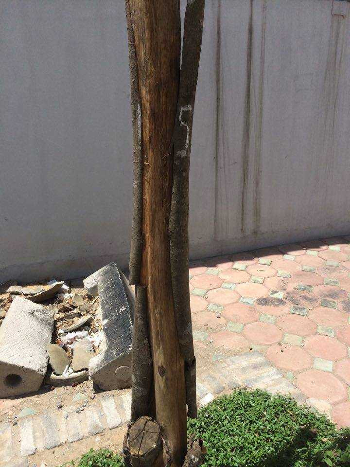 13435543_1927723454121057_2080092709157808237_n