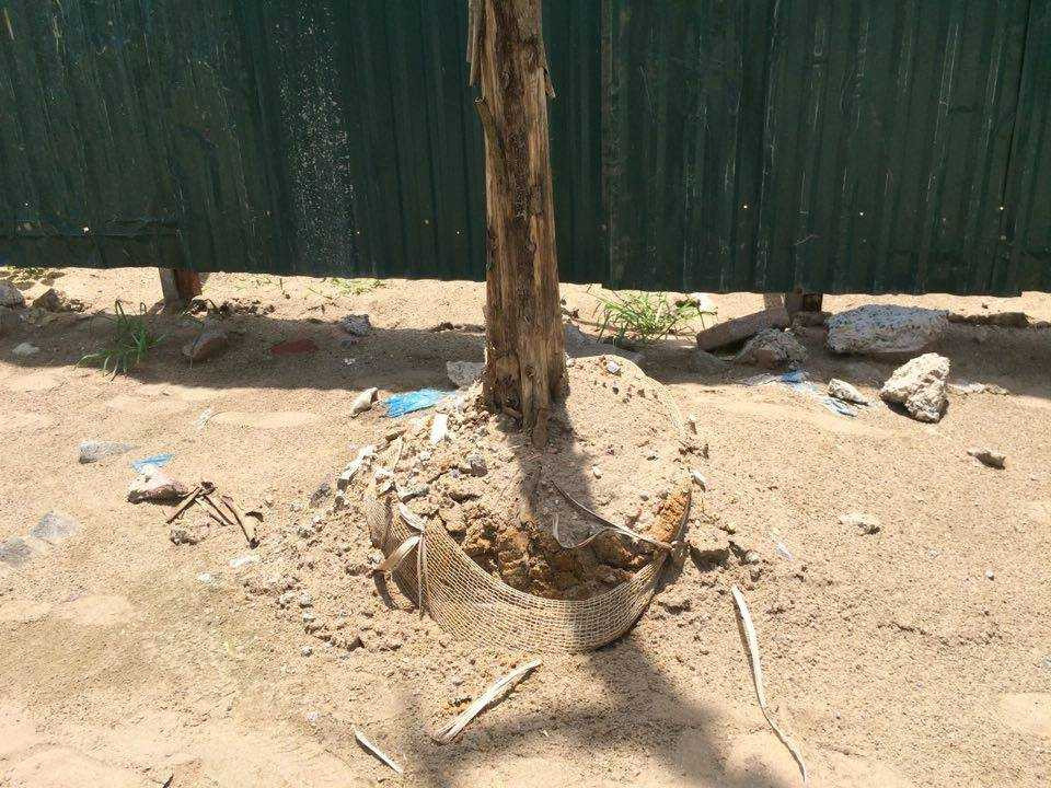 13442318_1927723560787713_6399568068583053155_n