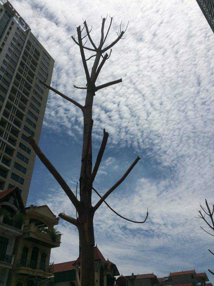 13445294_1927723544121048_7748899537318913735_n