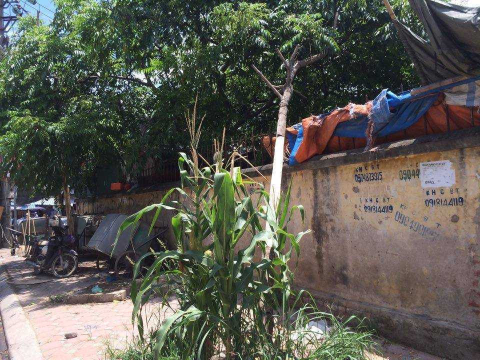 13465972_1927723420787727_8820636800544529433_n