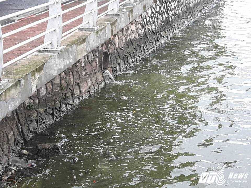 13557738_295491434121177_6020075017616132881_n