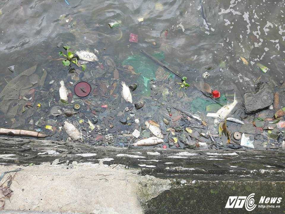 13557877_295491270787860_7330621679252780229_n