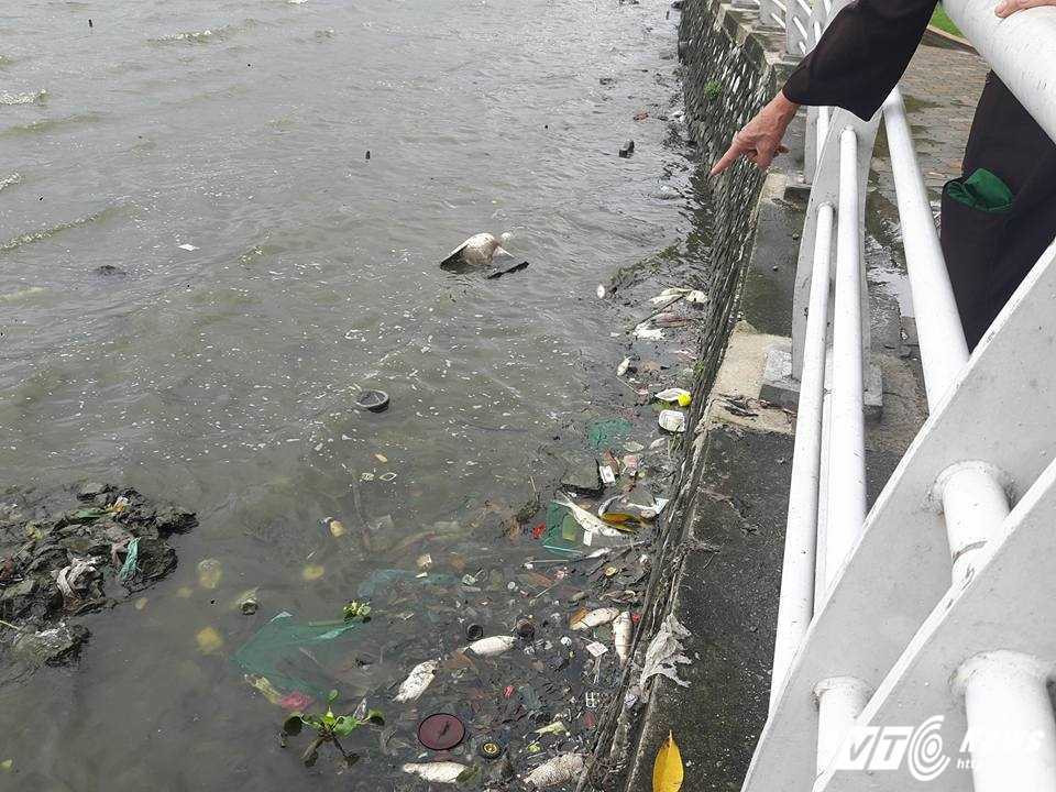 13567170_295491207454533_4805641444551223696_n