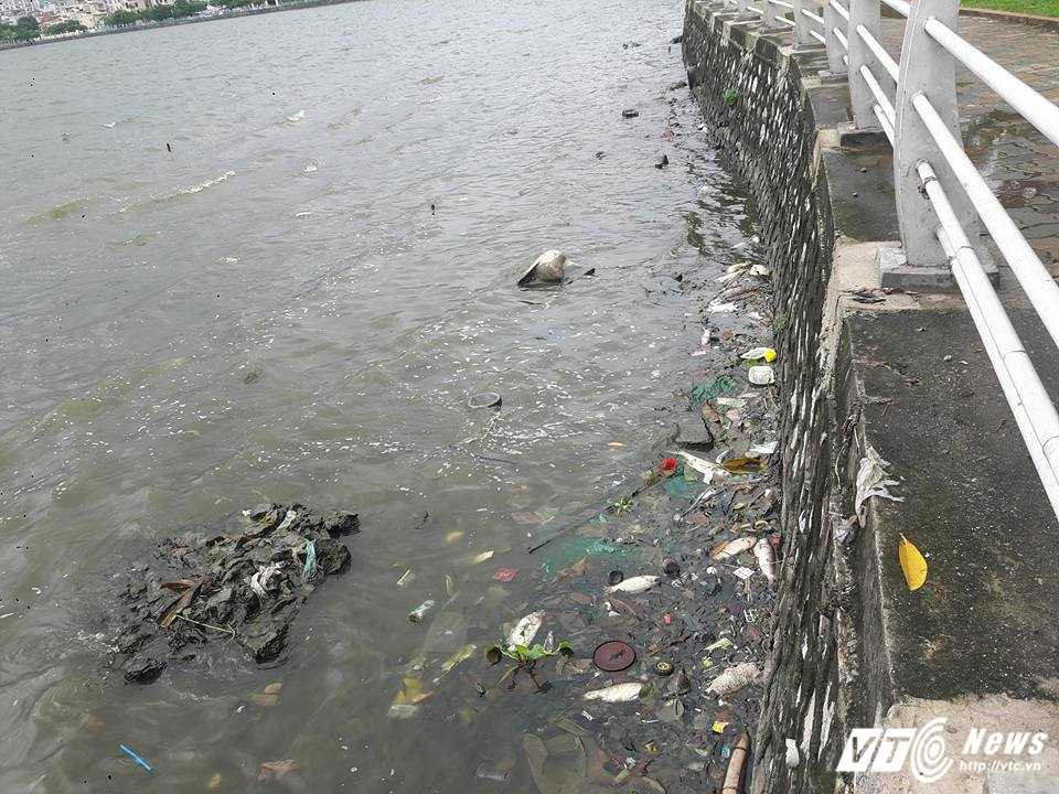 13567408_295491294121191_322636212709020746_n