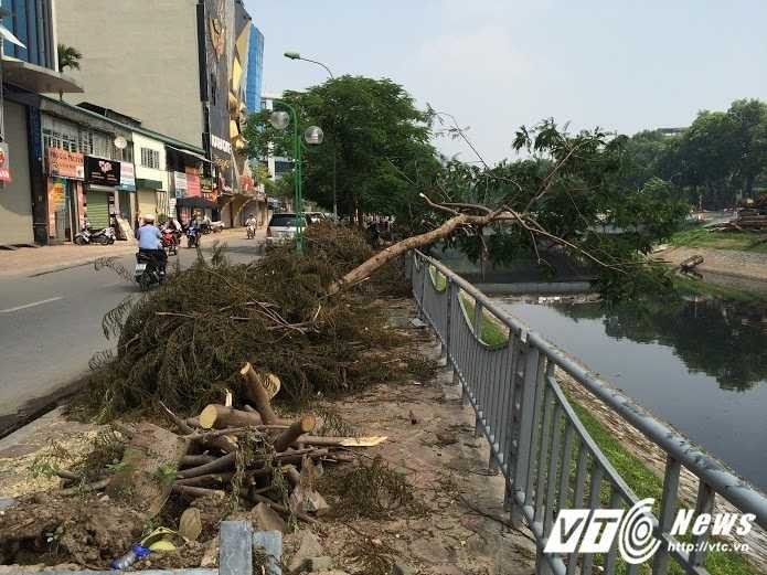 cay-do-ra-duong-ko-xu-ly-3