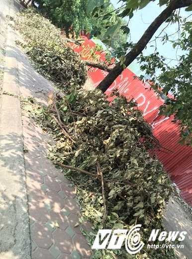 cay-do-ra-duong-ko-xu-ly-4