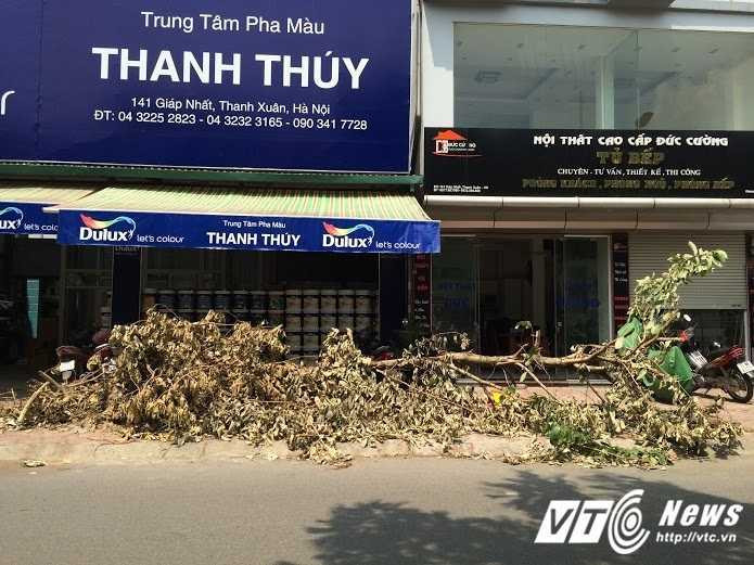 cay-do-ra-duong-ko-xu-ly-8