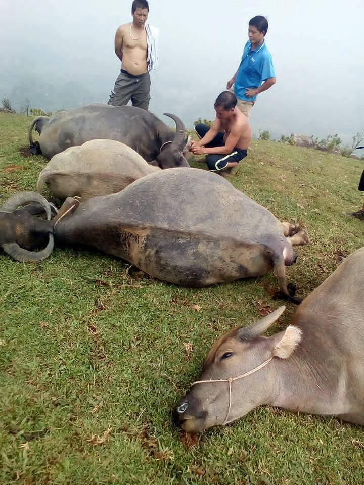 13876106_863151220457425_5245196166057883006_n