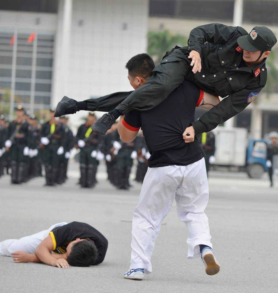 14222223_1249176328435416_8069146498343220376_n