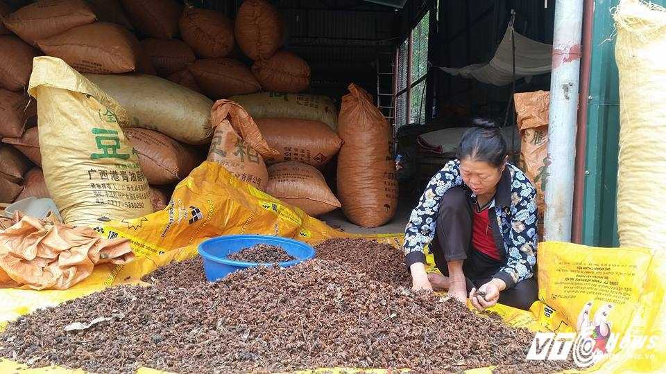 15050003_344571545919582_1122278562_n