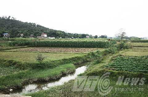 han-duc-long-duoc-tra-tu-do-6