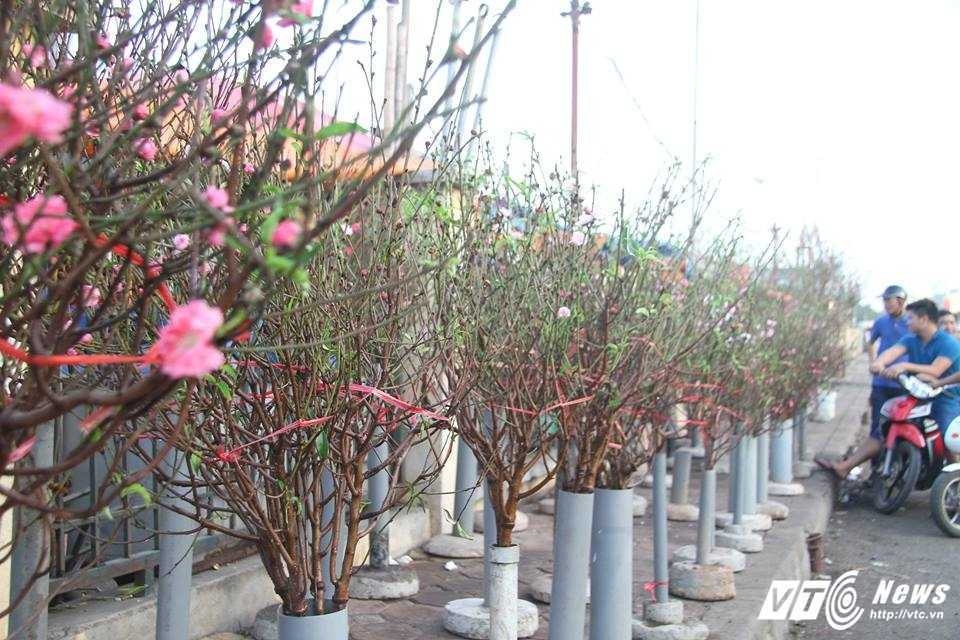 15800916_652526248253658_