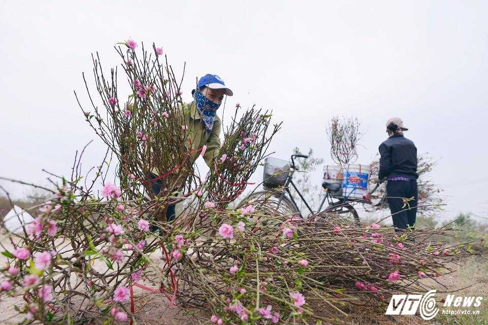 15826619_1372154606137587