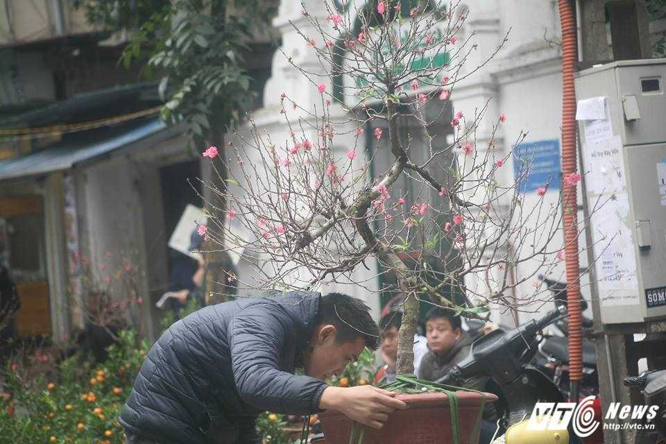 16176066_1218405211580062