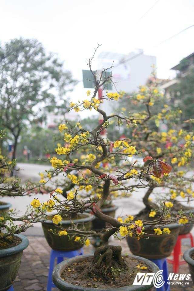 16215656_1218404698246780