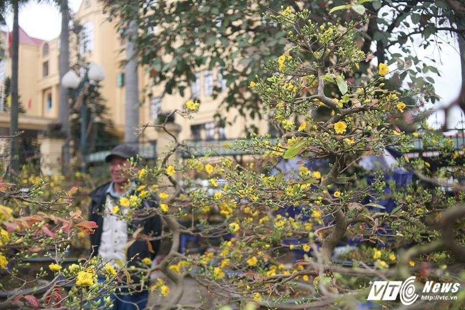 16216288_1218404708246779