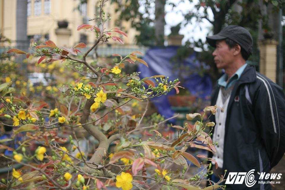 16237395_1218404704913446