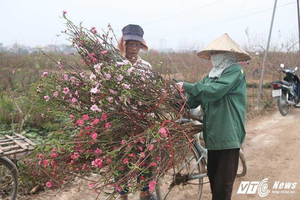 16238015_1218404984913418